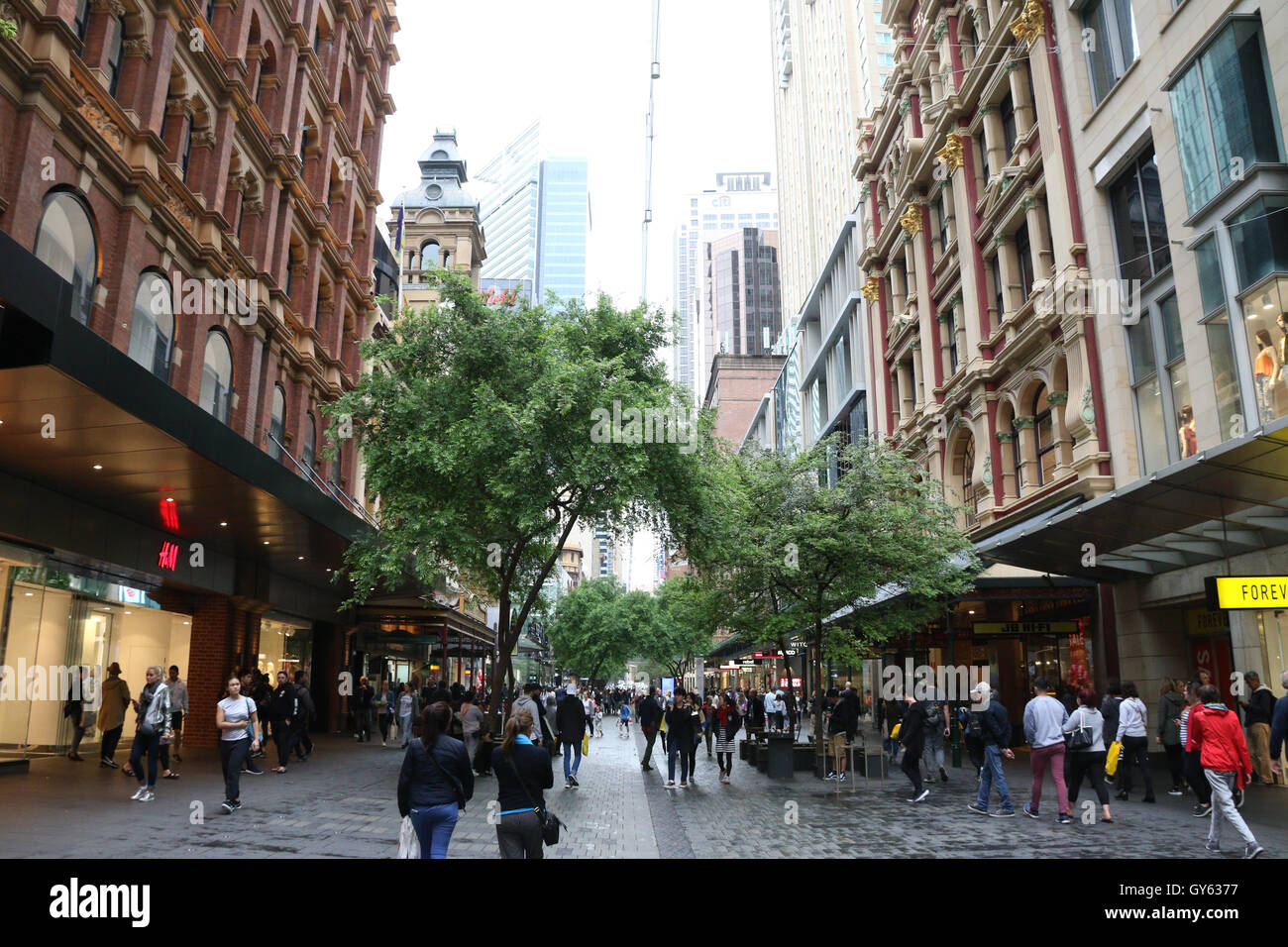 Pitt Street Mall à Sydney, Australie. Banque D'Images