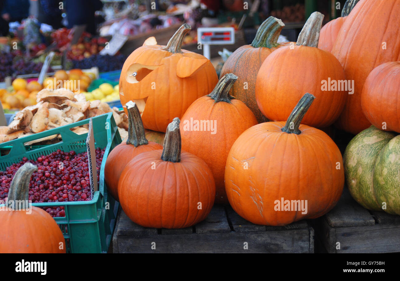 Citrouille fraîche sur le marché en automne Banque D'Images