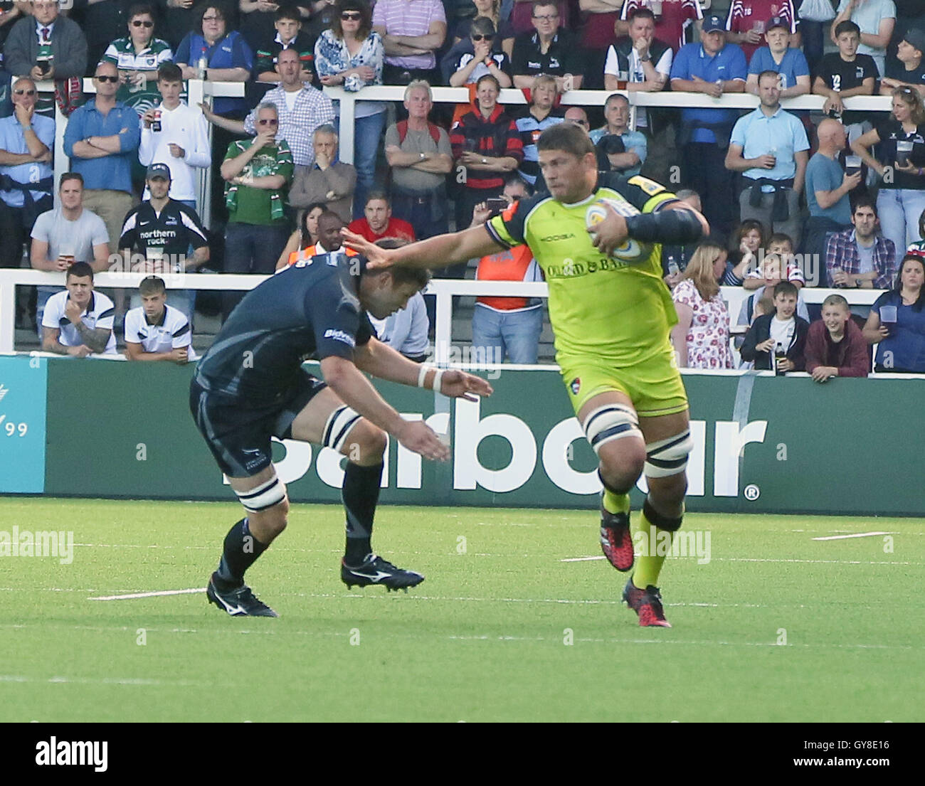 Kingston Park, Newcastle, Royaume-Uni. 18 Sep, 2016. Aviva Premiership Rugby. Newcastle Falcons contre les Leicester Tigers. Flanker Tigers Mike Williams sur l'accusation. Credit : Action Plus Sport/Alamy Live News Banque D'Images