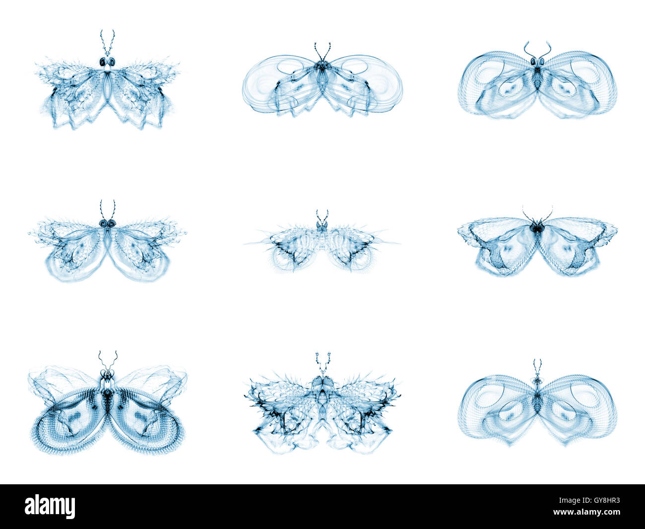 Diversité des papillons fractale Banque D'Images