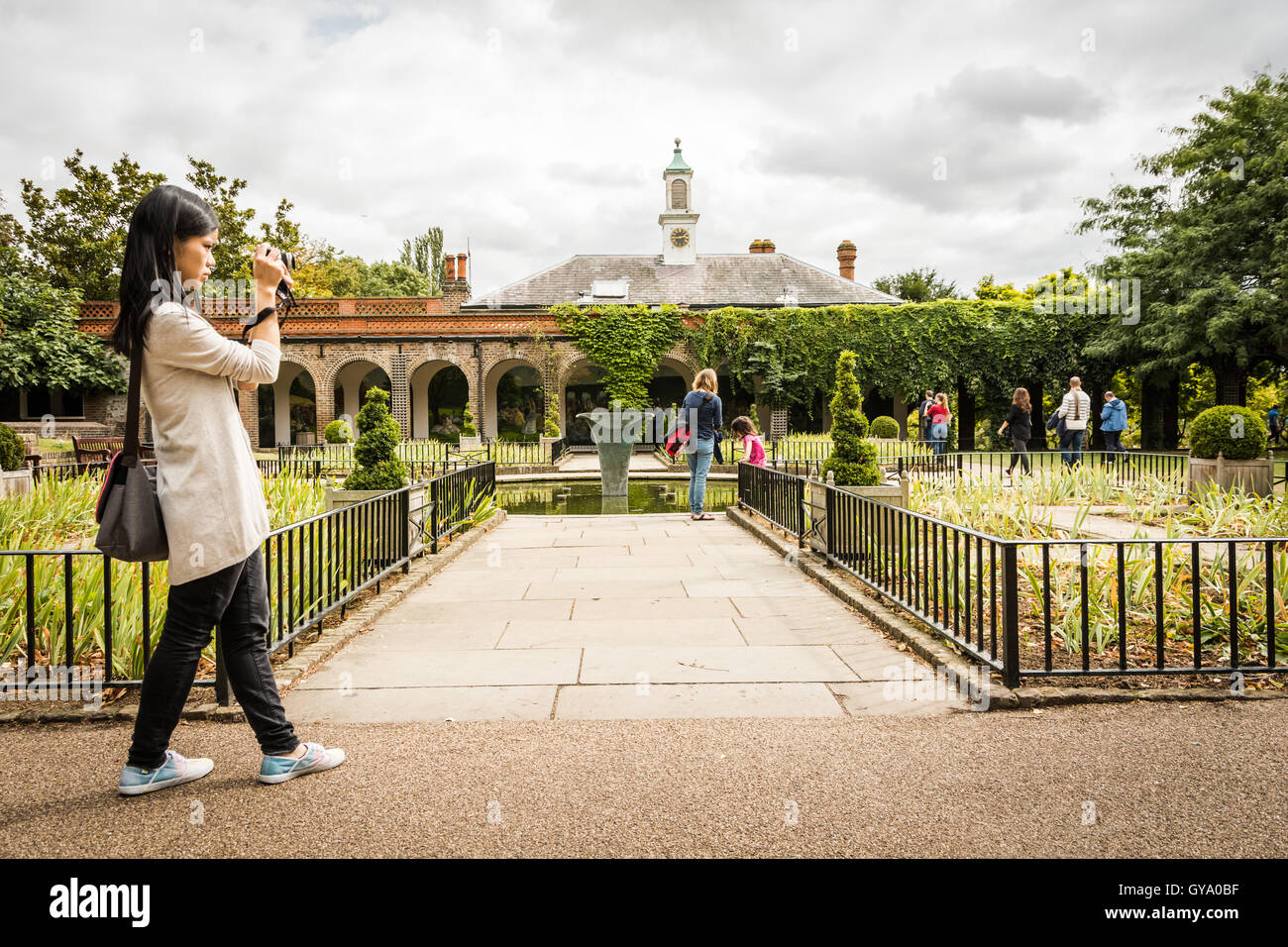 Une jeune femme se concentre pour prendre une photo sur l'image dans Holland Park, à l'ouest de Londres, Royaume-Uni Banque D'Images