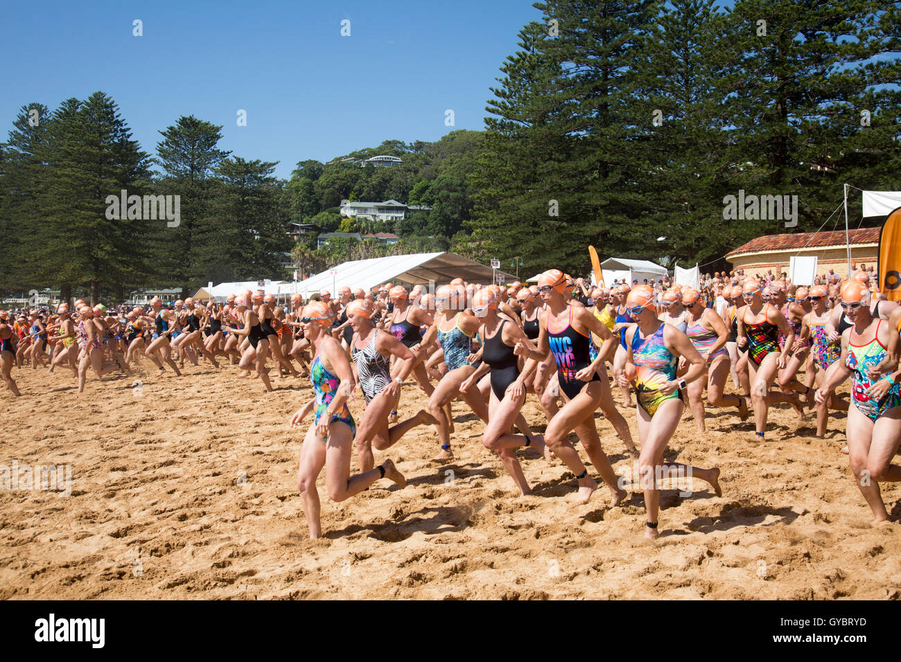 Les femmes nageurs participent à la course de natation annuelle entre Palm Beach et Whale Beach, The Big Swim, Sydney, Nouvelle-Galles du Sud, Australie Banque D'Images