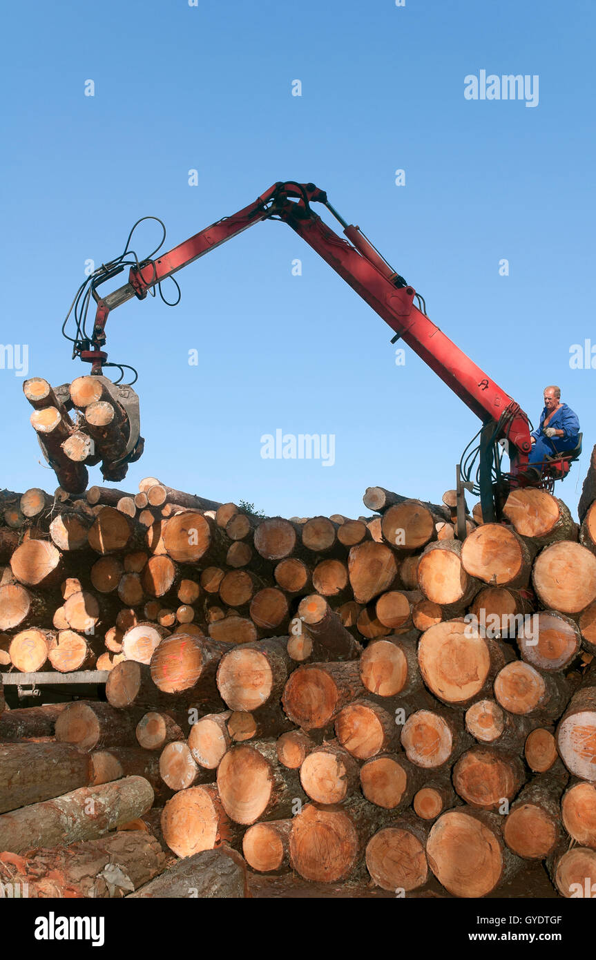 L'industrie du bois, Morpeguite Muxia, La Corogne, province, région de la Galice, Espagne, Europe Banque D'Images