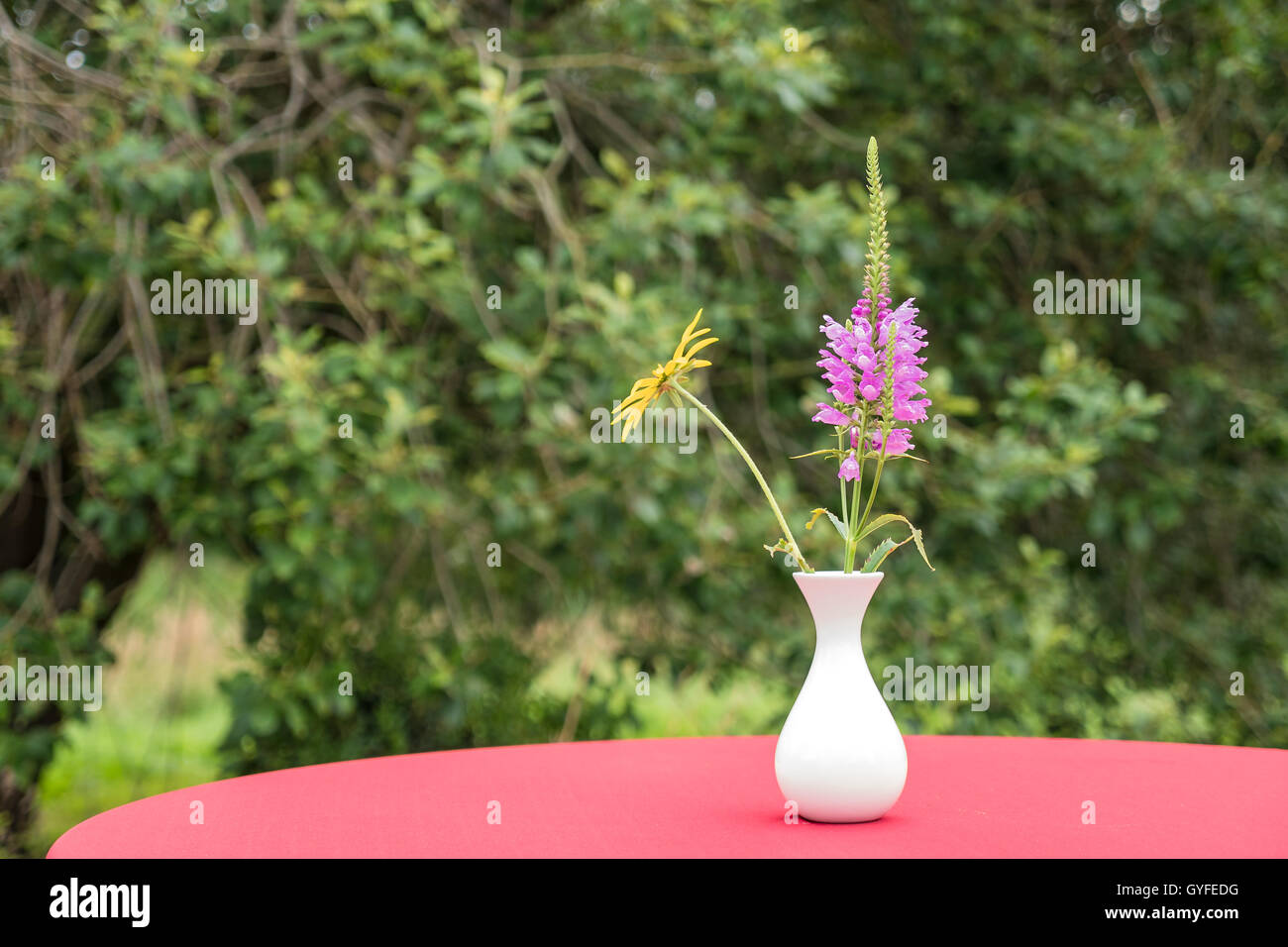 Vase blanc avec des fleurs sur une table rouge Banque D'Images