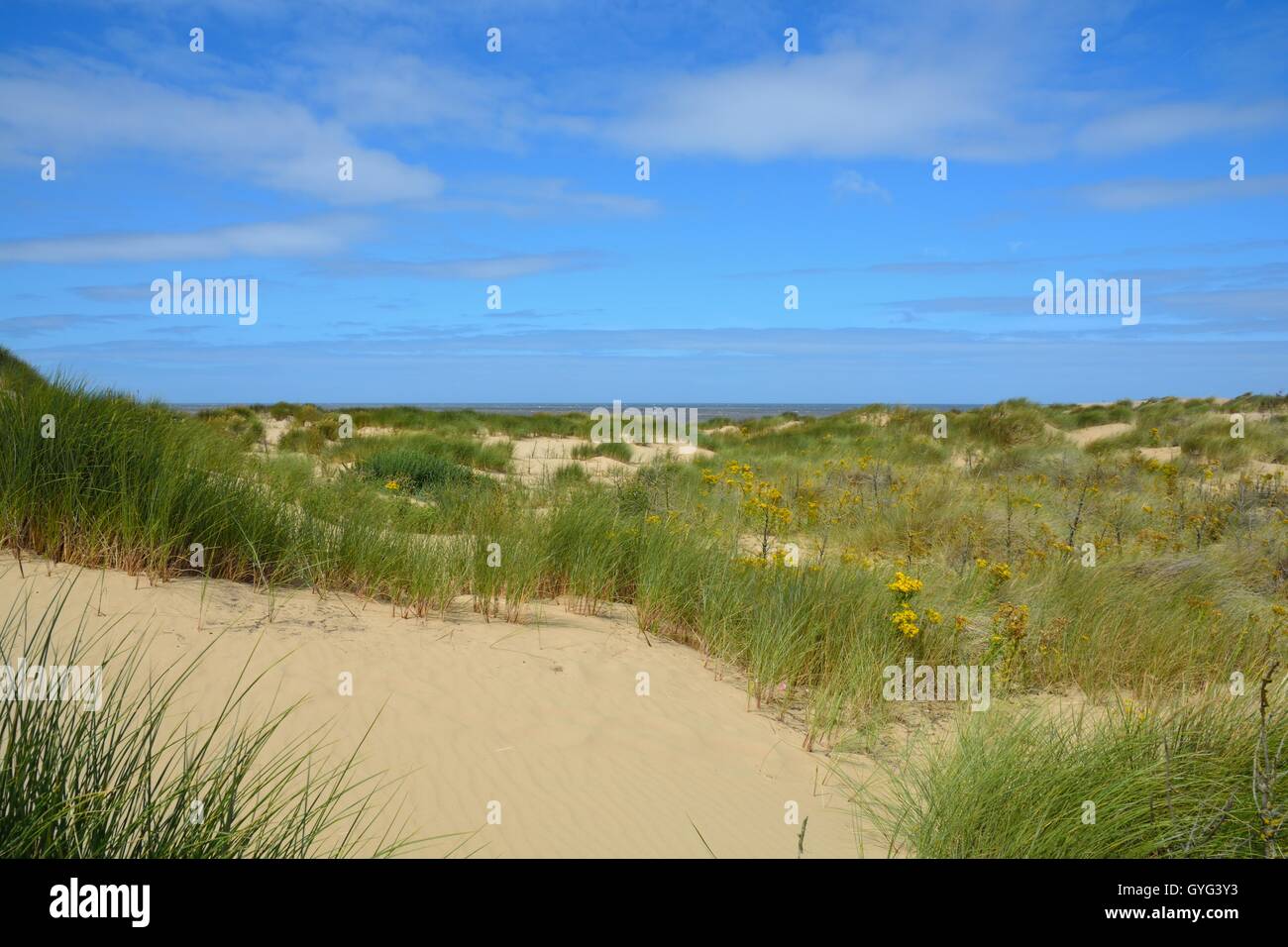 Formby Beach en Angleterre Banque D'Images