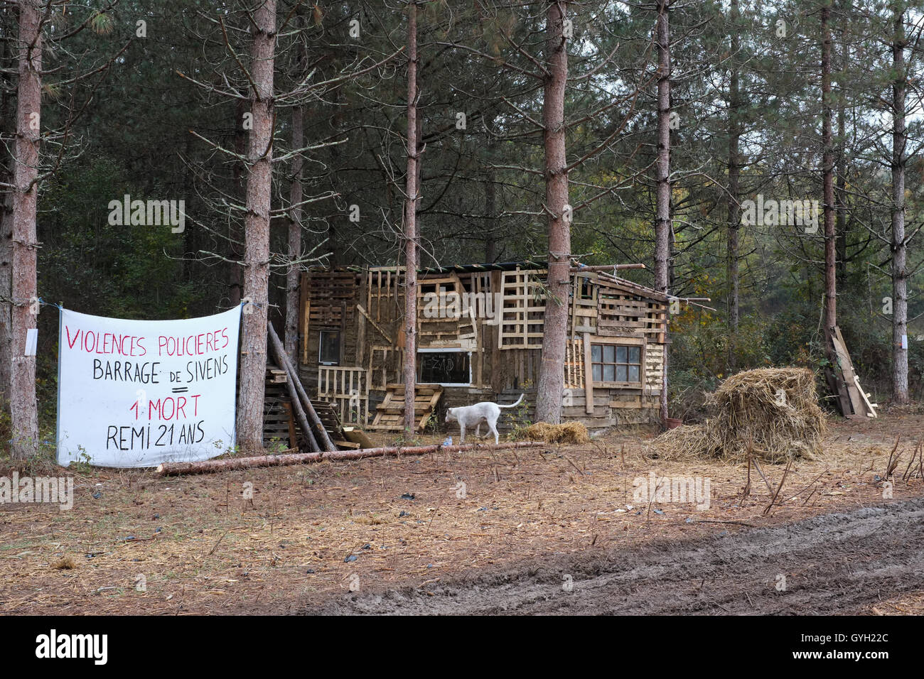 Testet's ZAD - Barrage de Sivens - 05/11/2014 - France / ? Midi-Pyrenee ? / Lisle-Sur-Tarn - 5 novembre 2014 - Testet's ZAD - Construction d'une cabane avec des palettes, de la paille et de la terre. Il est possible de lire un écrit qui dit : abus policiers Barrage de SIvens  = 1 morts, Remi Fraisse, 21 ans." - Nicolas Remene / Le Pictorium Banque D'Images