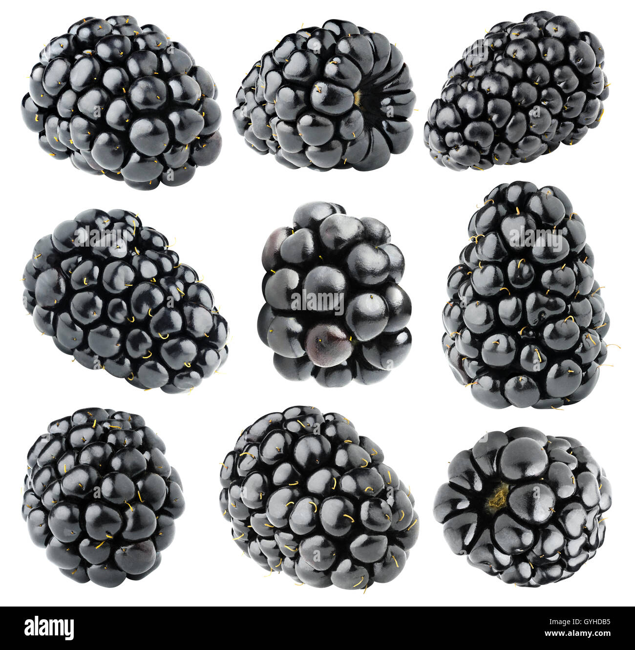 Les mûres isolées. Collection de divers fruits blackberry isolé sur fond blanc avec clipping path Banque D'Images