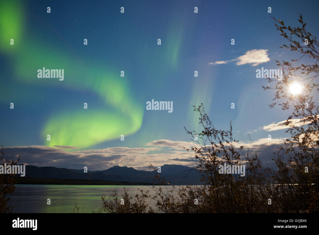 Northern Lights pleine lune sur le lac Laberge Yukon Banque D'Images Northern Lights pleine lune sur le lac Laberge Yukon Banque D'Images