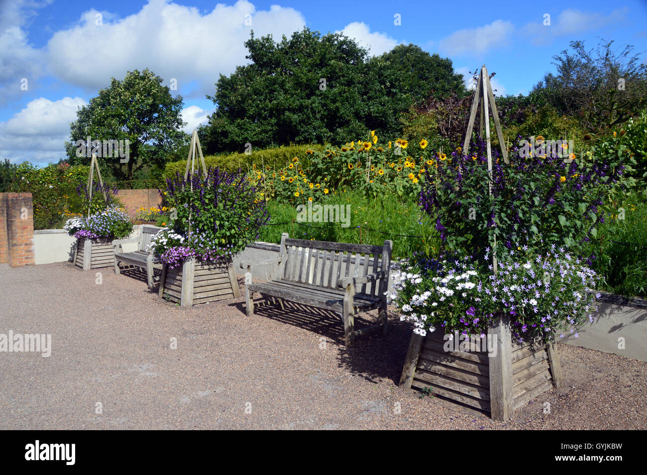 Une exposition de fleurs et des bancs en bois des conteneurs à RHS Garden Harlow Carr. Yorkshire, Angleterre, Royaume-Uni. Banque D'Images