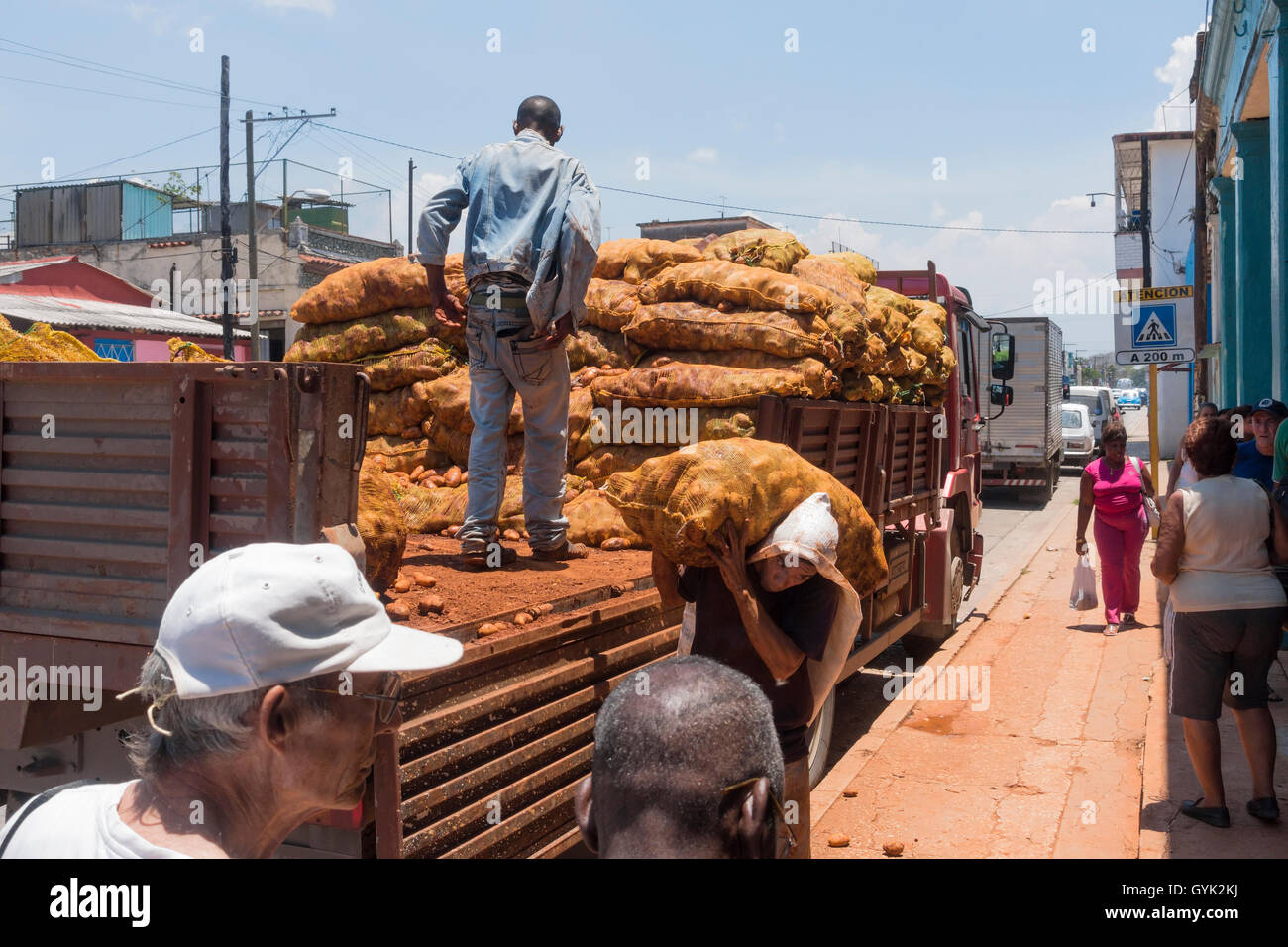Les gens le déchargement des sacs de pommes de terre d'un camion dans la région de Marianao La Havane, Cuba. Banque D'Images