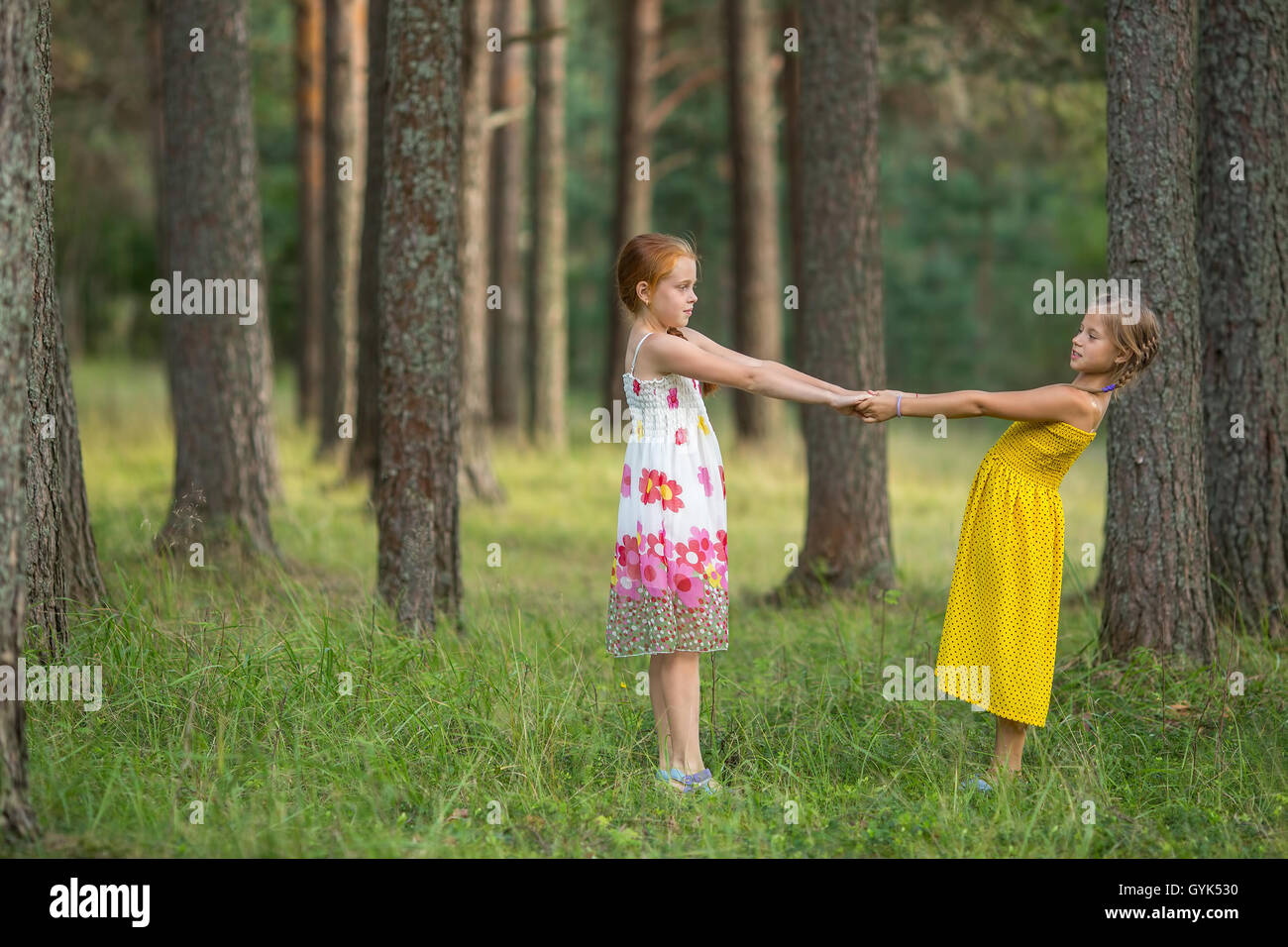 Deux petites filles pour la tenue de mains dans la forêt de pins. Banque D'Images