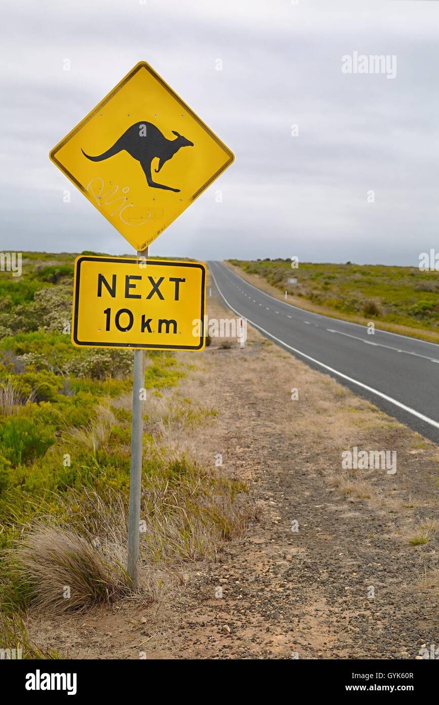 Panneau d'avertissement de kangourou Banque D'Images