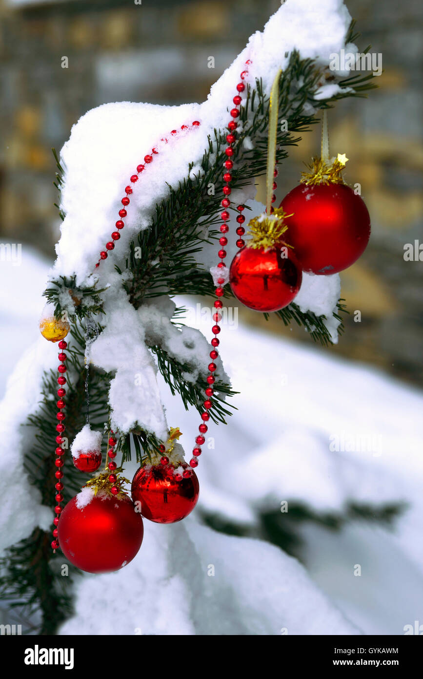 Un Tannenzweig Christbaumkugeln einem verschneiten, Frankreich | arbre de Noël Boules à un sapin recouvert de neige, France | BL Banque D'Images