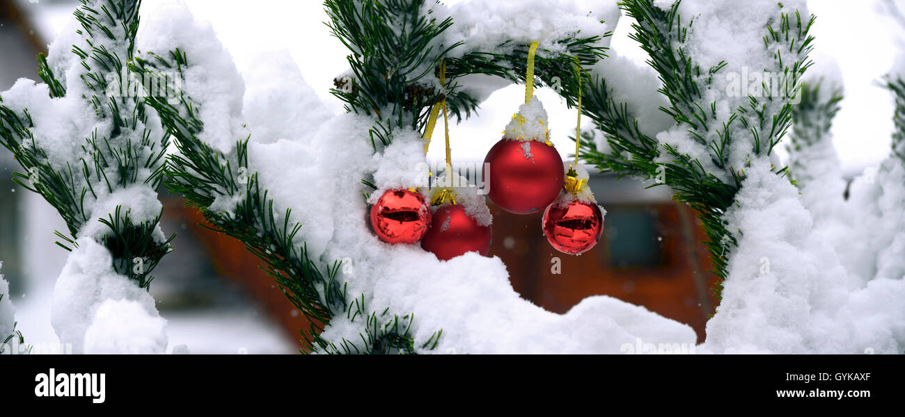 Un Tannenzweigen verschneiten Christbaumkugeln, Frankreich | arbre de Noël Boules à branches couvertes de neige, France | BLWS418 Banque D'Images