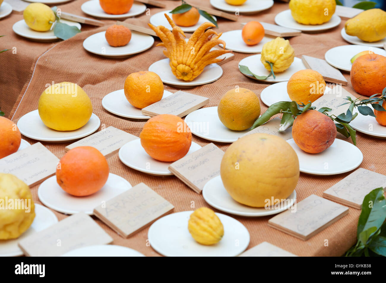 Différents types d'agrumes à la foire de printemps Banque D'Images