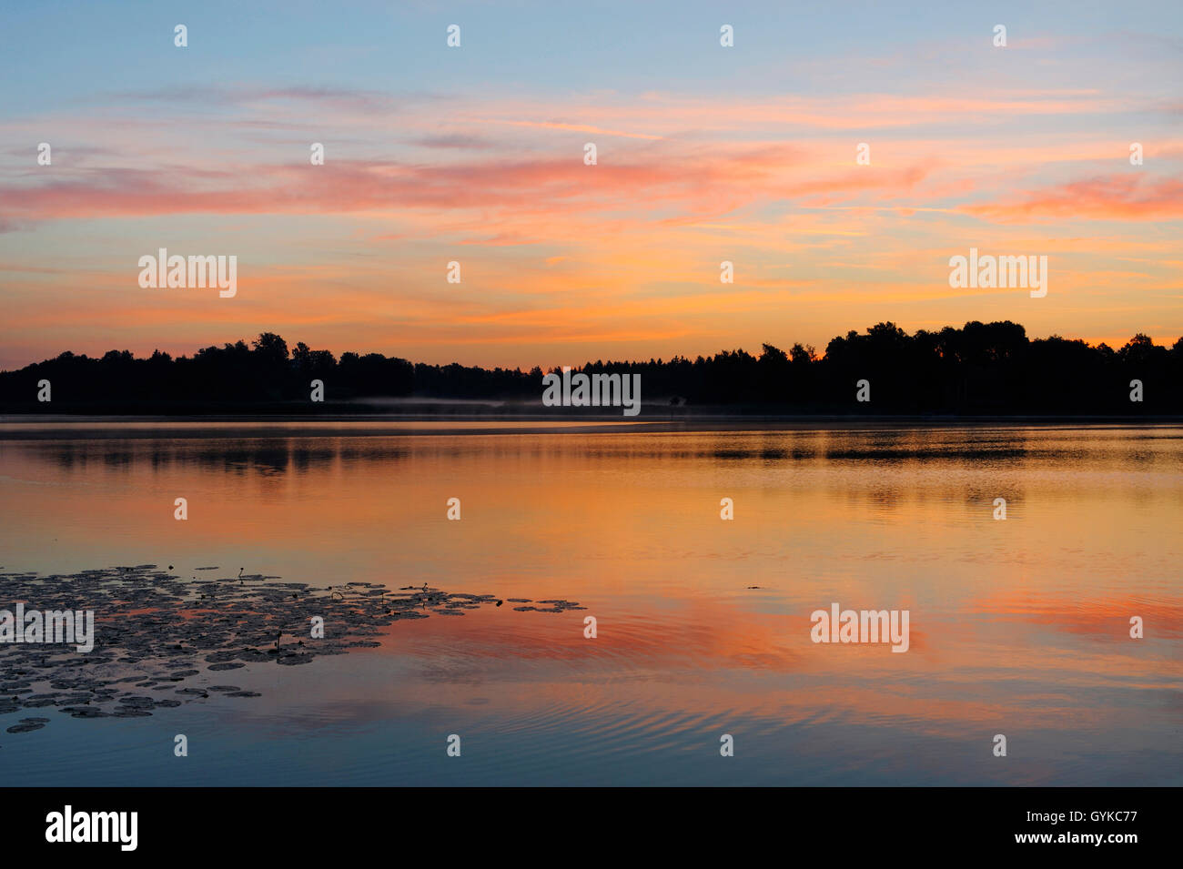 Chiemsee, humeur le matin avant le lever du soleil, de l'Allemagne, de Bavière, Prien Banque D'Images