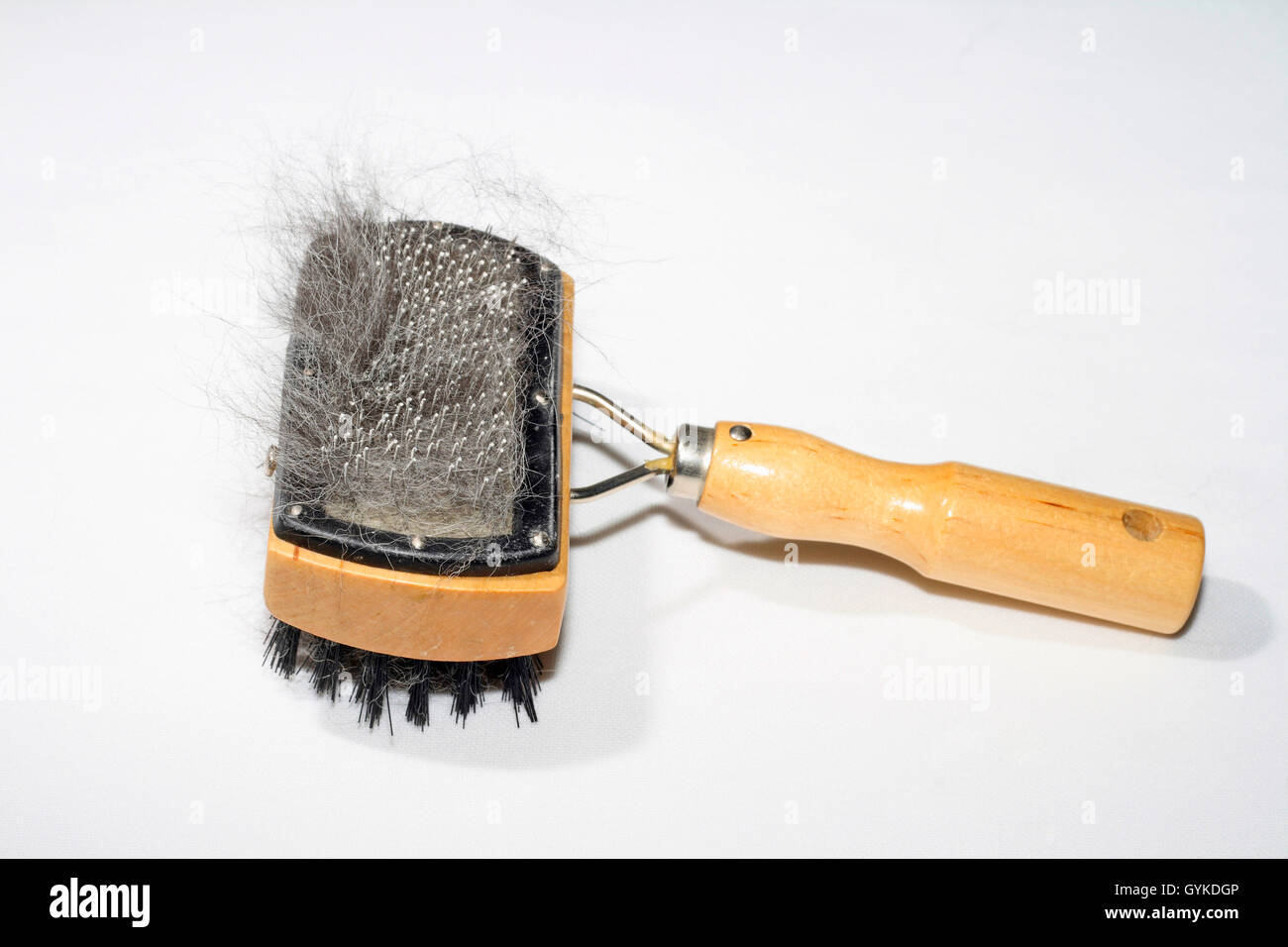 Brosse avec poils de chien chien d'un croisement de Husky Banque D'Images
