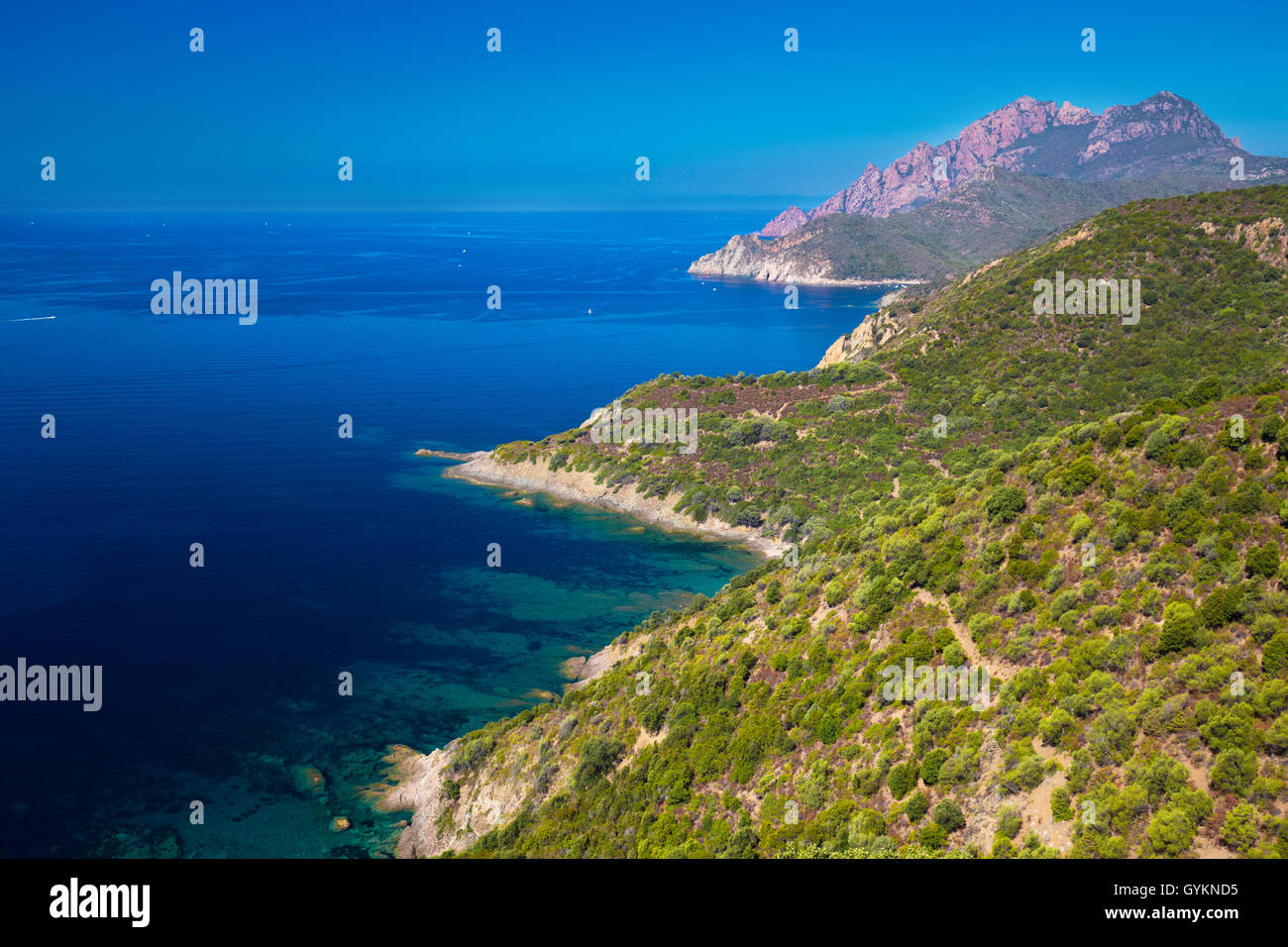 Voir à partir de la fameuse D81 route côtière avec vue sur golfe de Girolata de Bocca di Luccio, Corse, France, Europe. Banque D'Images