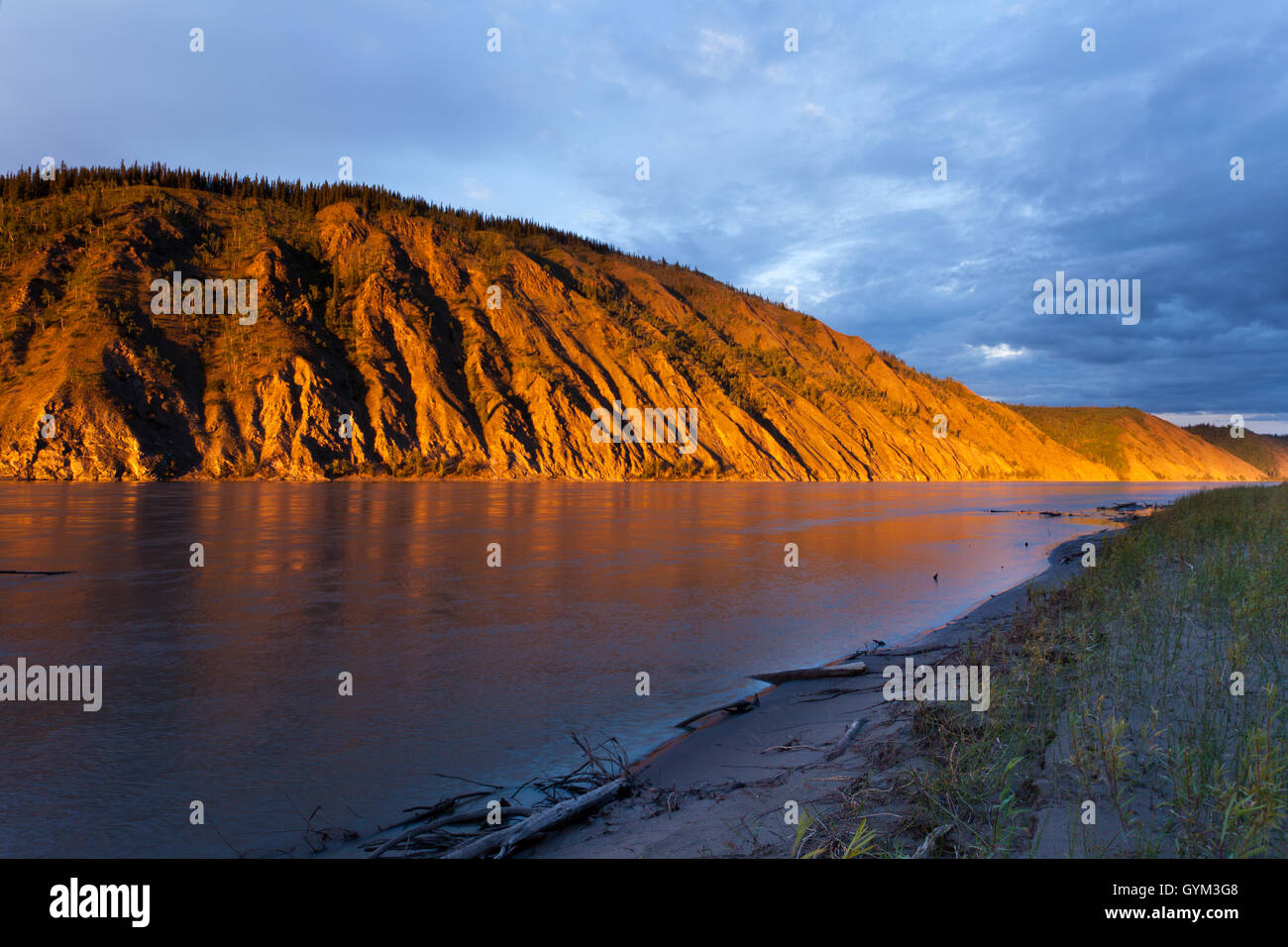 Falaise d'argile au fleuve Yukon, près de Dawson City Banque D'Images Falaise d'argile au fleuve Yukon, près de Dawson City Banque D'Images