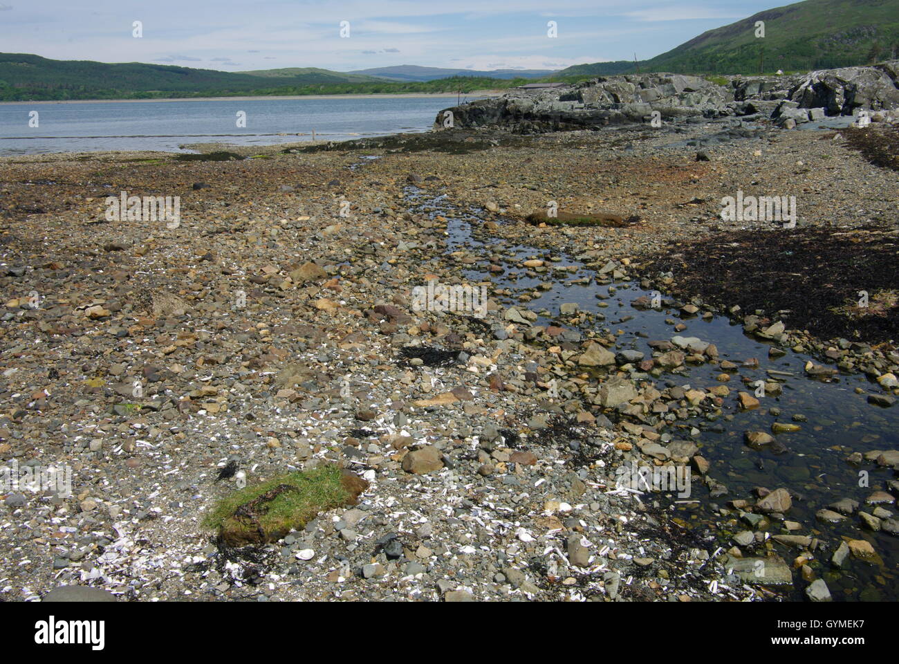 Dhubhaig Traigh Doire, Loch na Keal, île de Mull, hébrides intérieures, Ecosse Banque D'Images
