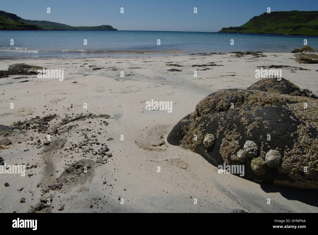 Calgary Bay, Isle of Mull, Scotland Banque D'Images