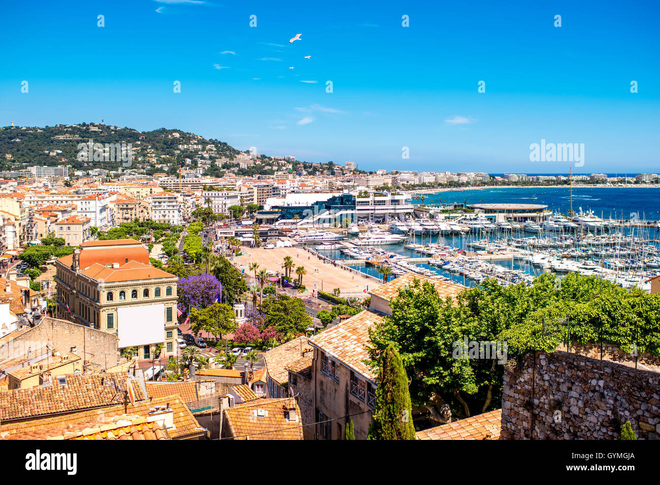 D'Azur à Cannes Banque D'Images