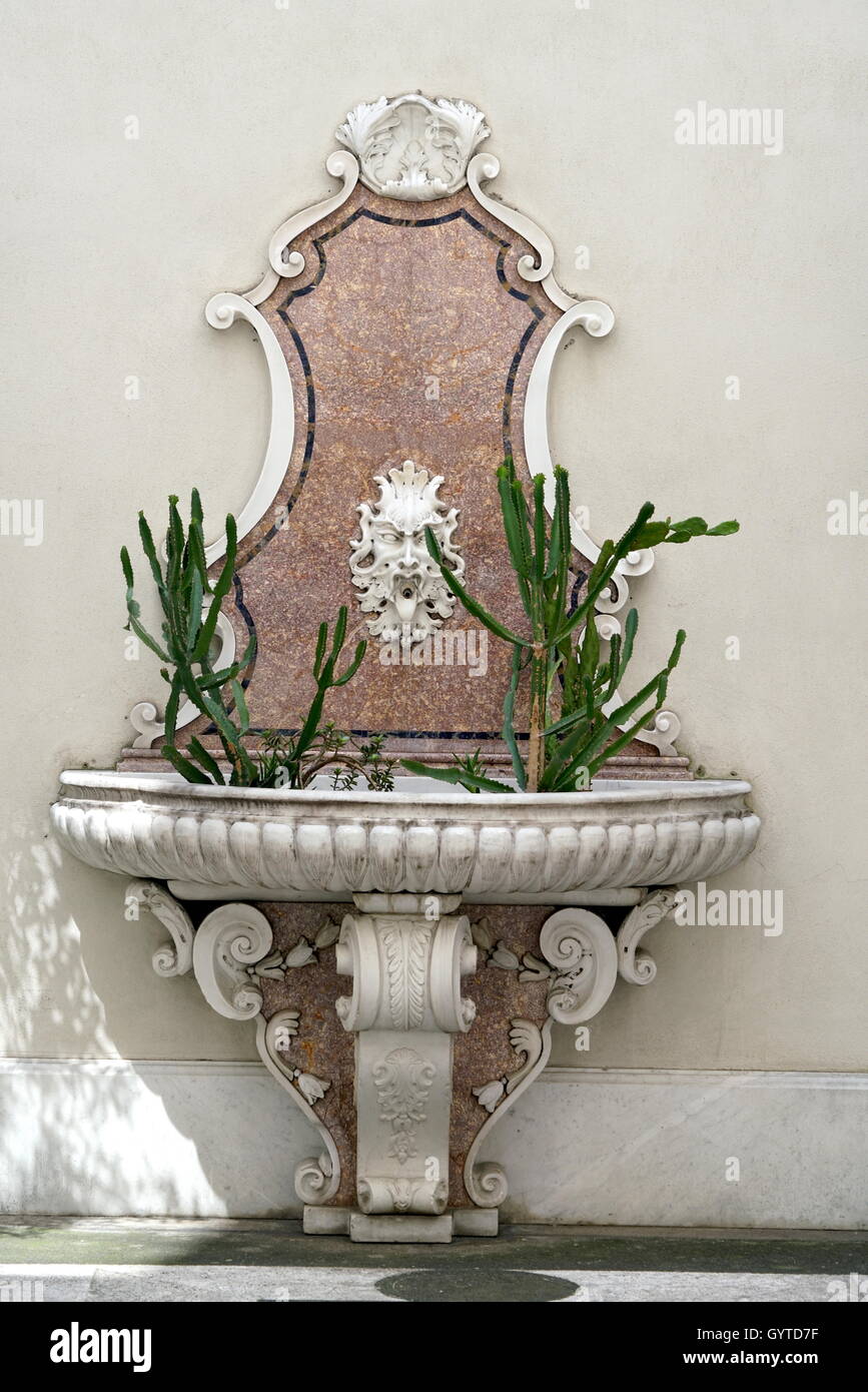 Lavabo ancien avec des cactus plantés Banque D'Images