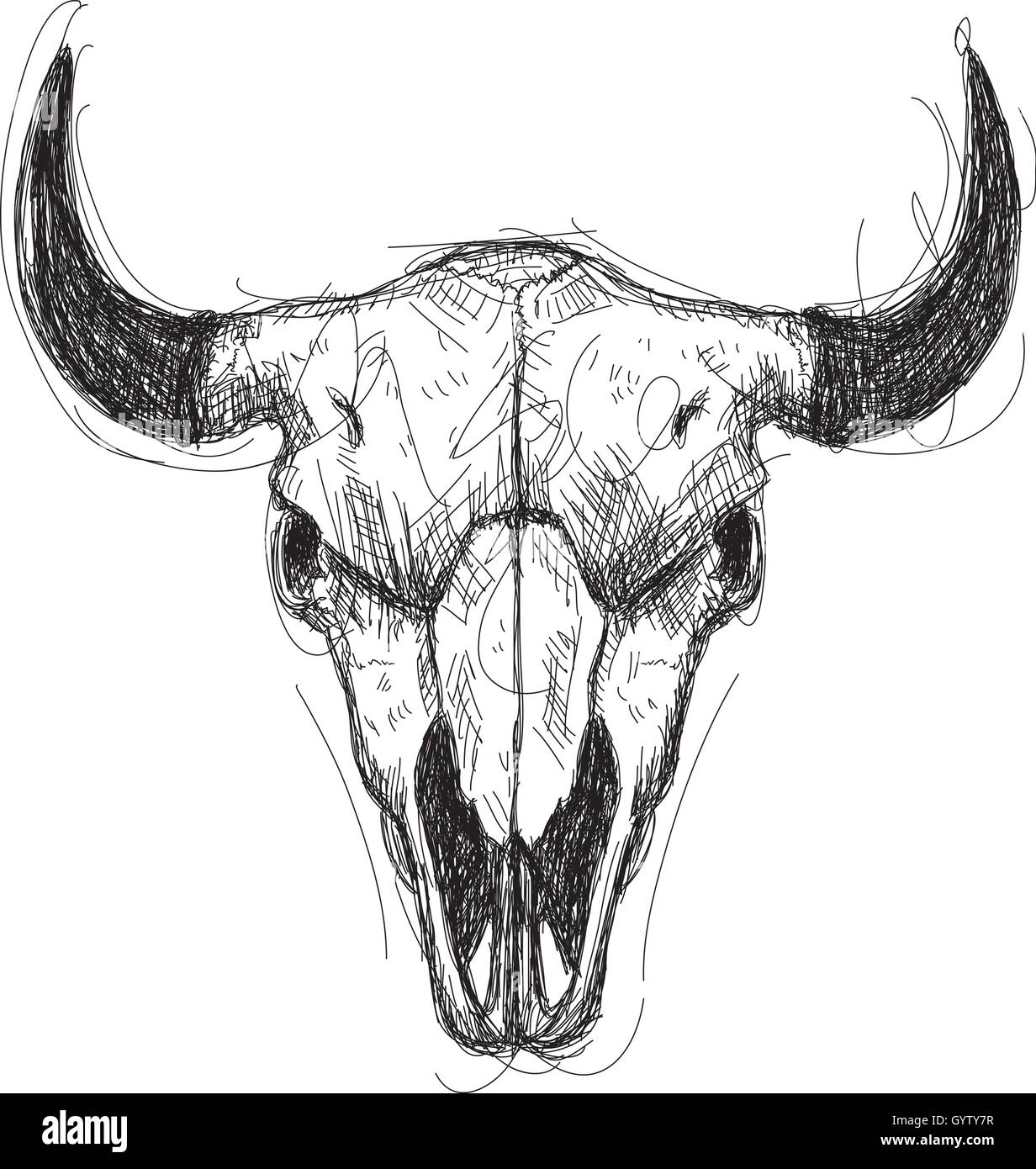 Croquis du crâne de vache Illustration de Vecteur
