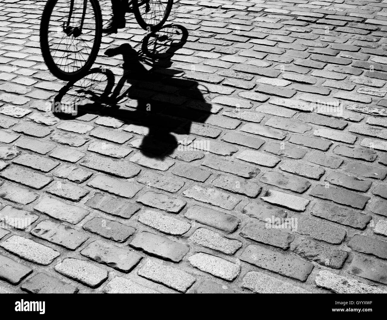 Silhouette et l'ombre d'un cycliste sur pavés, Edinburgh, Ecosse, Royaume-Uni Banque D'Images