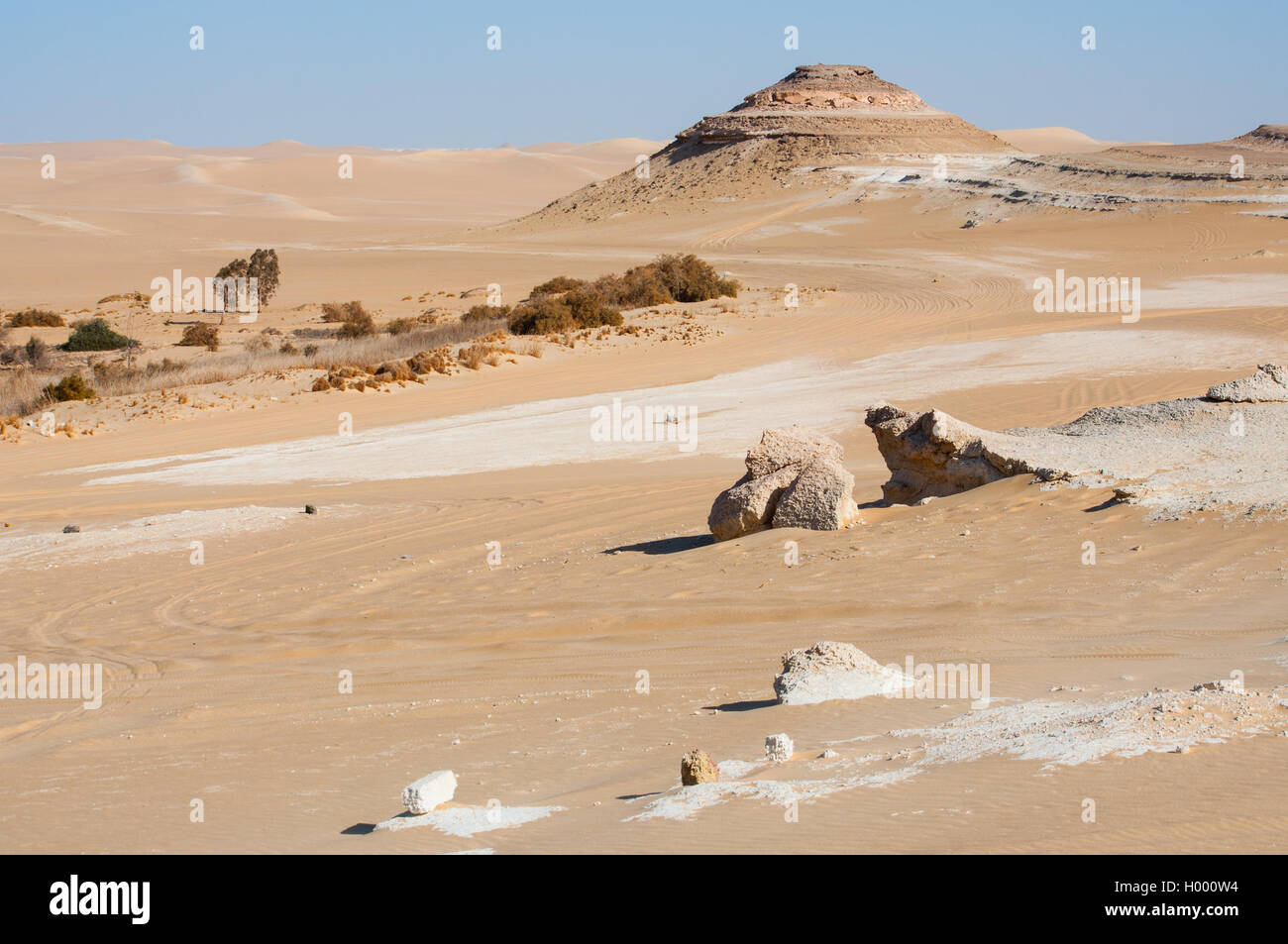 Golden Sand en désert du Sahara en Egypte Banque D'Images
