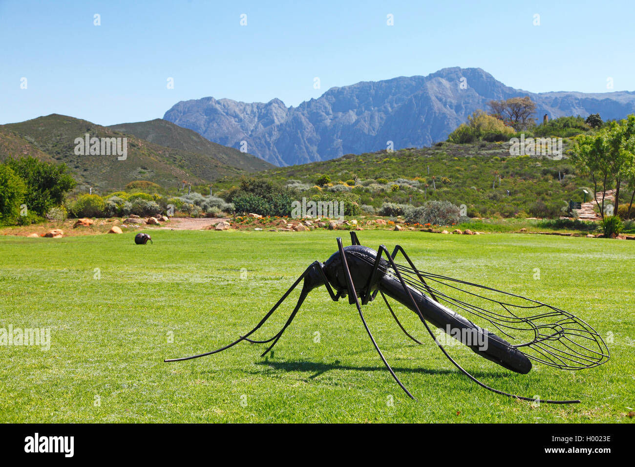 Jardin botanique du Désert du Karoo, sculpture d'un moustique, Afrique du Sud, Western Cape, Worcester Banque D'Images