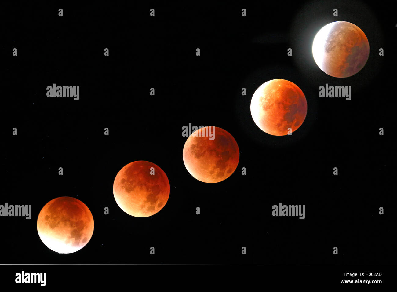 Éclipse lunaire 28.09.2015 entre 4,19 à 5,35 jusqu'à observer, l'Allemagne, en Rhénanie du Nord-Westphalie, Haan Banque D'Images