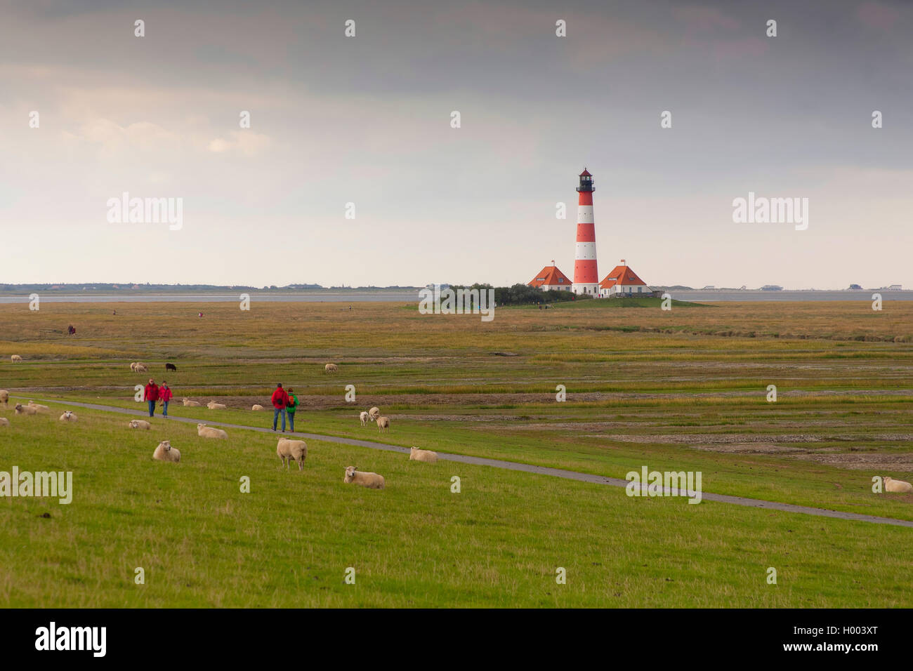 Westerheversand phare, Allemagne, Schleswig-Holstein, dans le Nord de la Frise, Büsum Banque D'Images