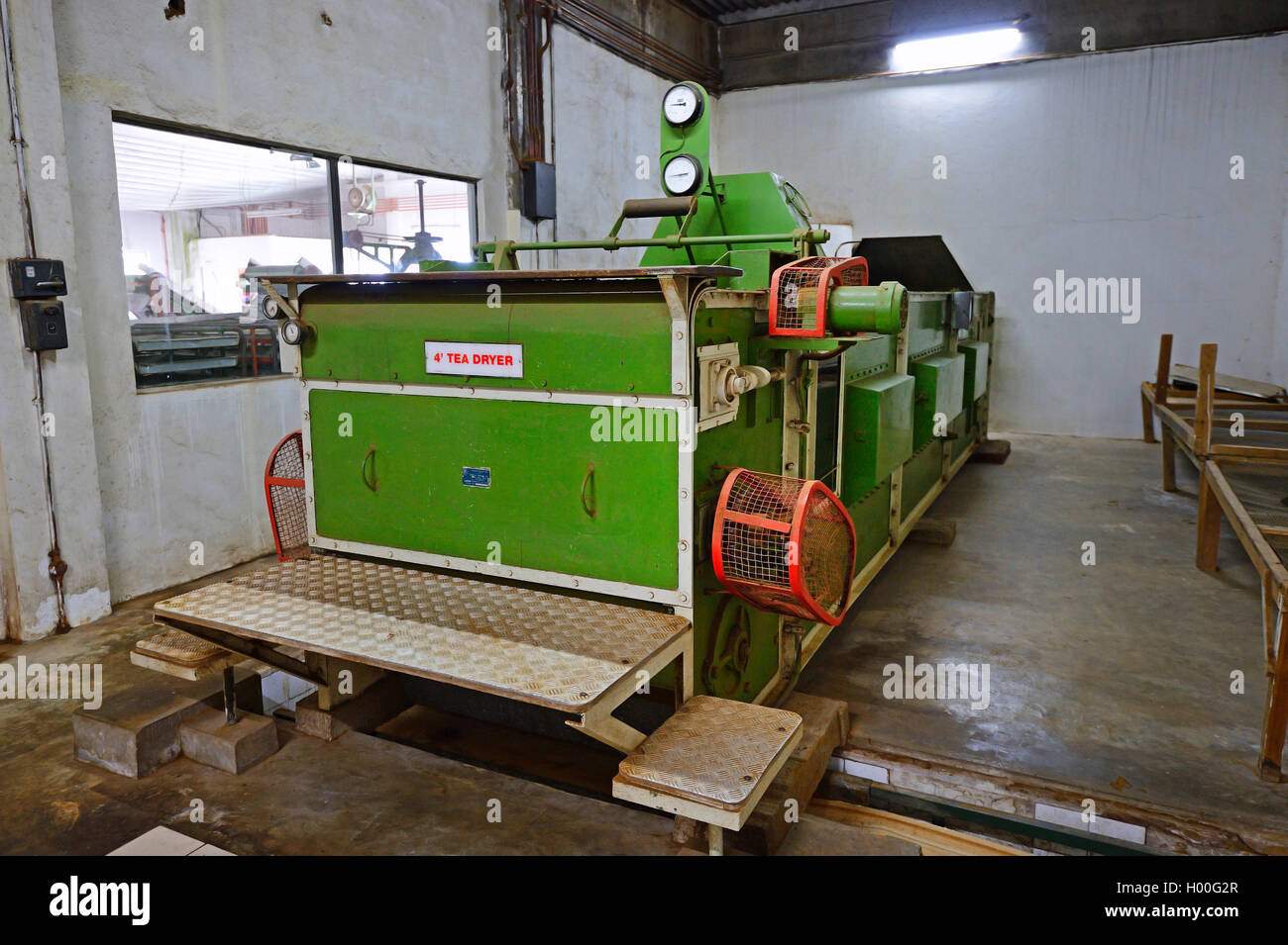 70 ans travaillent encore machine pour sécher le plateau de la Seyte cutted Tea Company, Seychelles, Mahe Banque D'Images