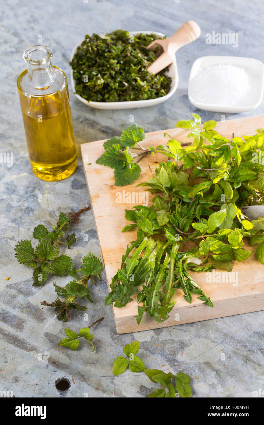 Faire un pesto de l'évêque┤s mauvaise herbe, sol ancien, le pissenlit et l'ortie, Allemagne Banque D'Images