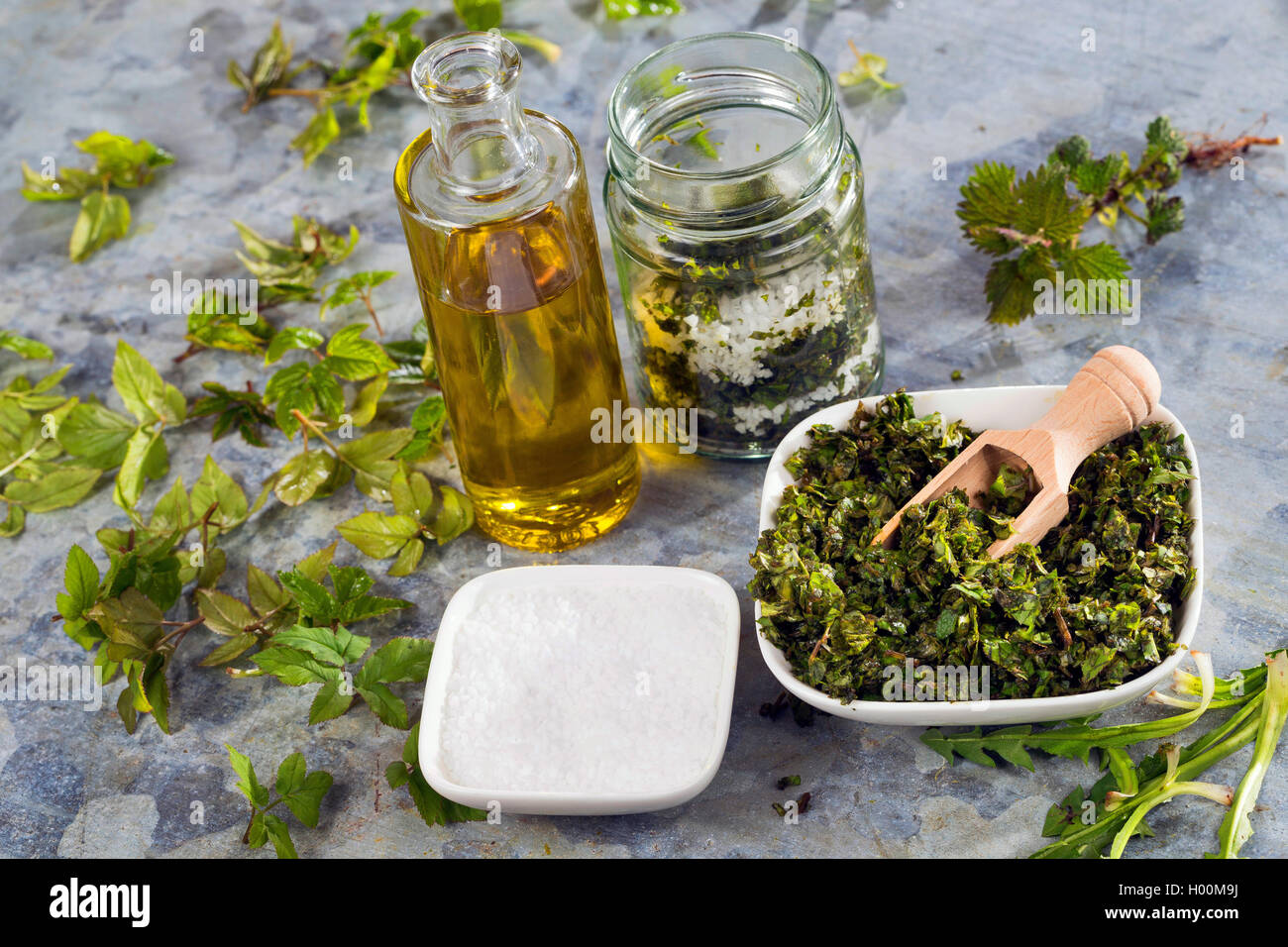 Faire un pesto de l'évêque┤s mauvaise herbe, sol ancien, le pissenlit et l'ortie, Allemagne Banque D'Images
