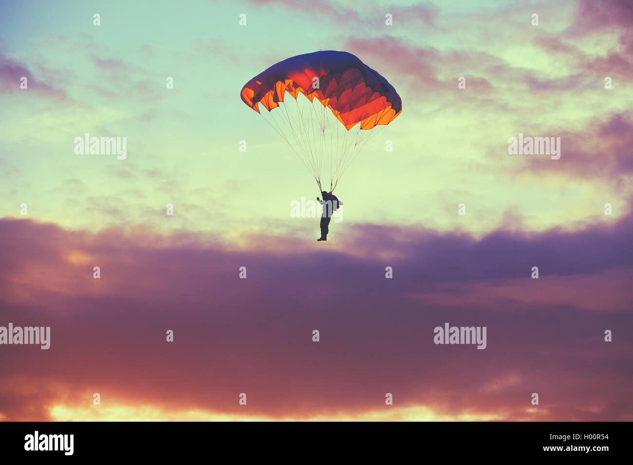 Parachutiste sur parachute coloré au soleil Ciel clair. Passe-temps actif. Couleurs violet Coucher de soleil ou lever du soleil Ciel. Banque D'Images