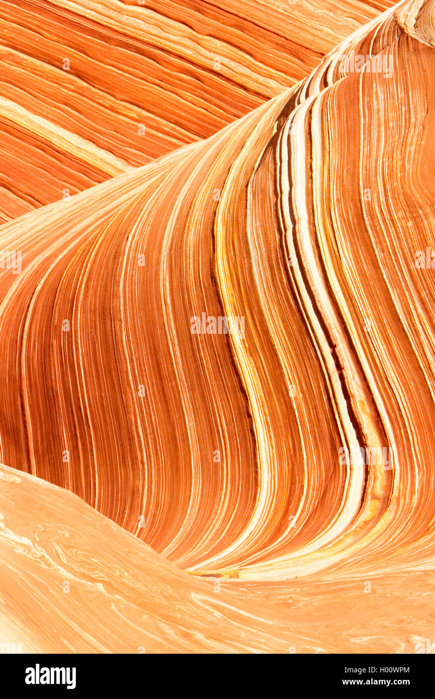 Formations de grès à Vermilion Cliffs National Monument, Arizona, USA, Vermilion Cliffs National Monument Banque D'Images