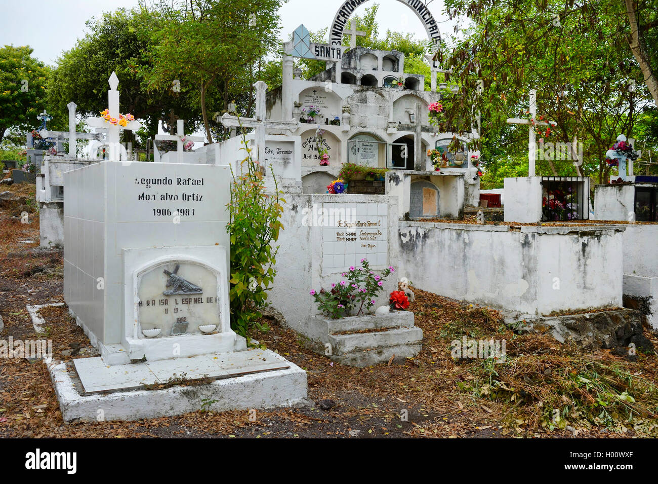 Sur les tombes du cimetière spécifique à un pays, l'Équateur, Îles Galápagos, Santa Cruz Banque D'Images