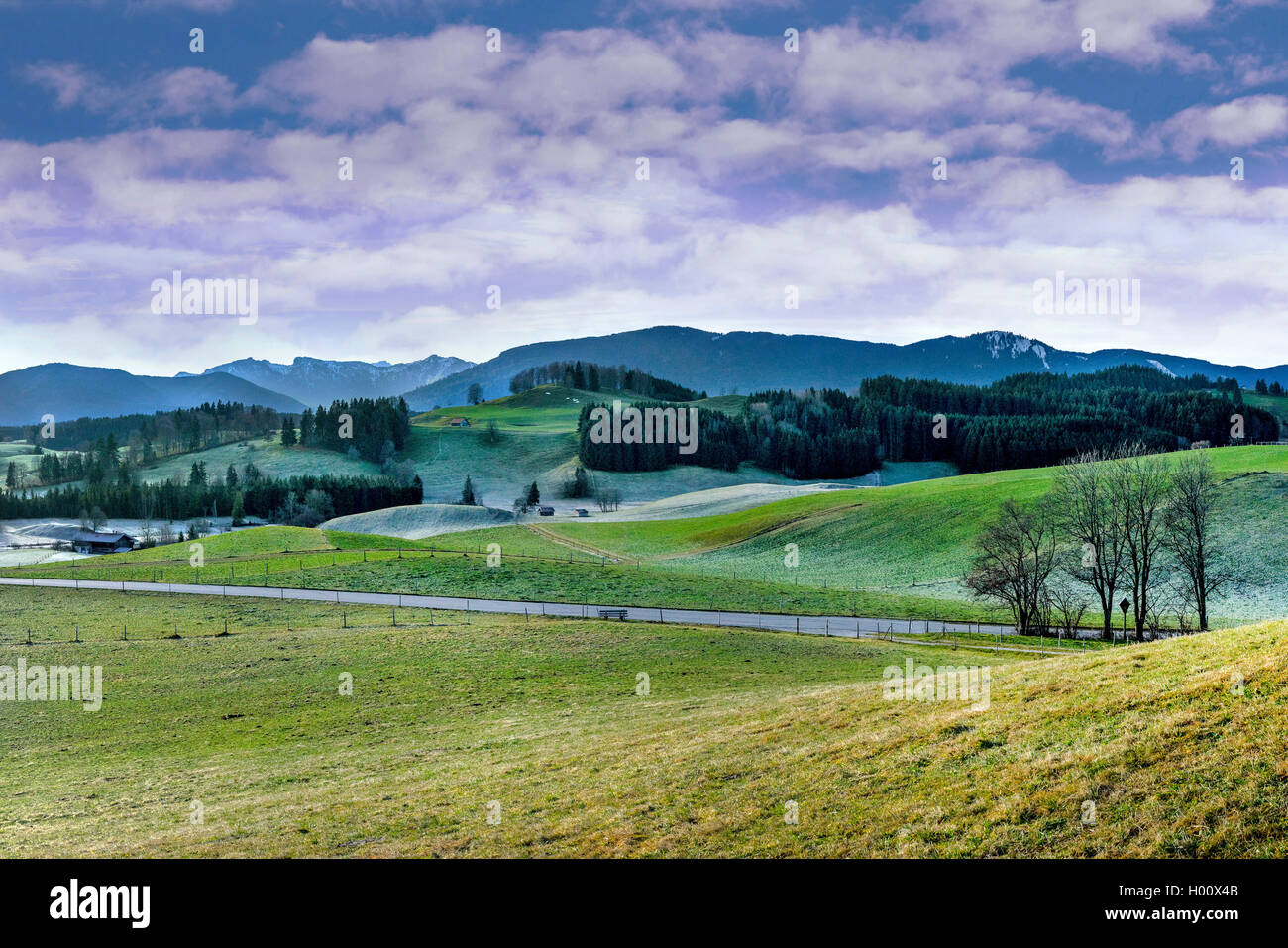 Vue d'Alpes à la fin de l'automne, en Allemagne, en Bavière, Wildsteig Banque D'Images