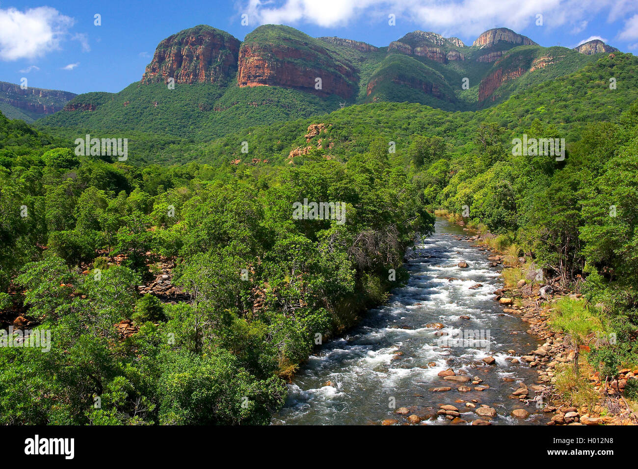 Paysage à la Blyde River Canyon, Afrique du Sud, Mpumalanga Banque D'Images