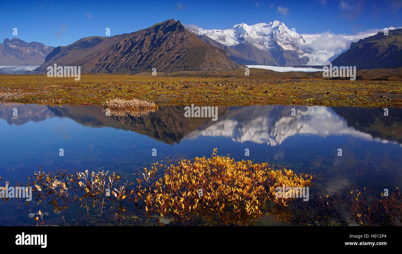 Paysage à l'Islande, Skaftafell Skaftafell, Banque D'Images