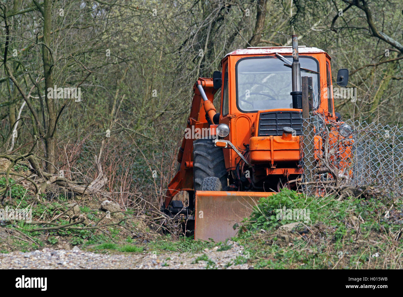 Véhicule de construction dans une forêt, Allemagne Banque D'Images