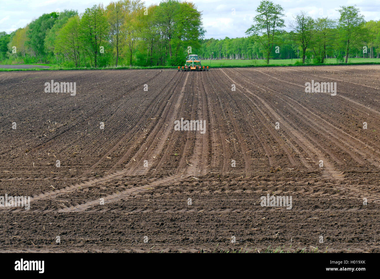 Exploitant agricole travaillant avec le tracteur sur une acre, ALLEMAGNE, Basse-Saxe, Bremervoerde Banque D'Images