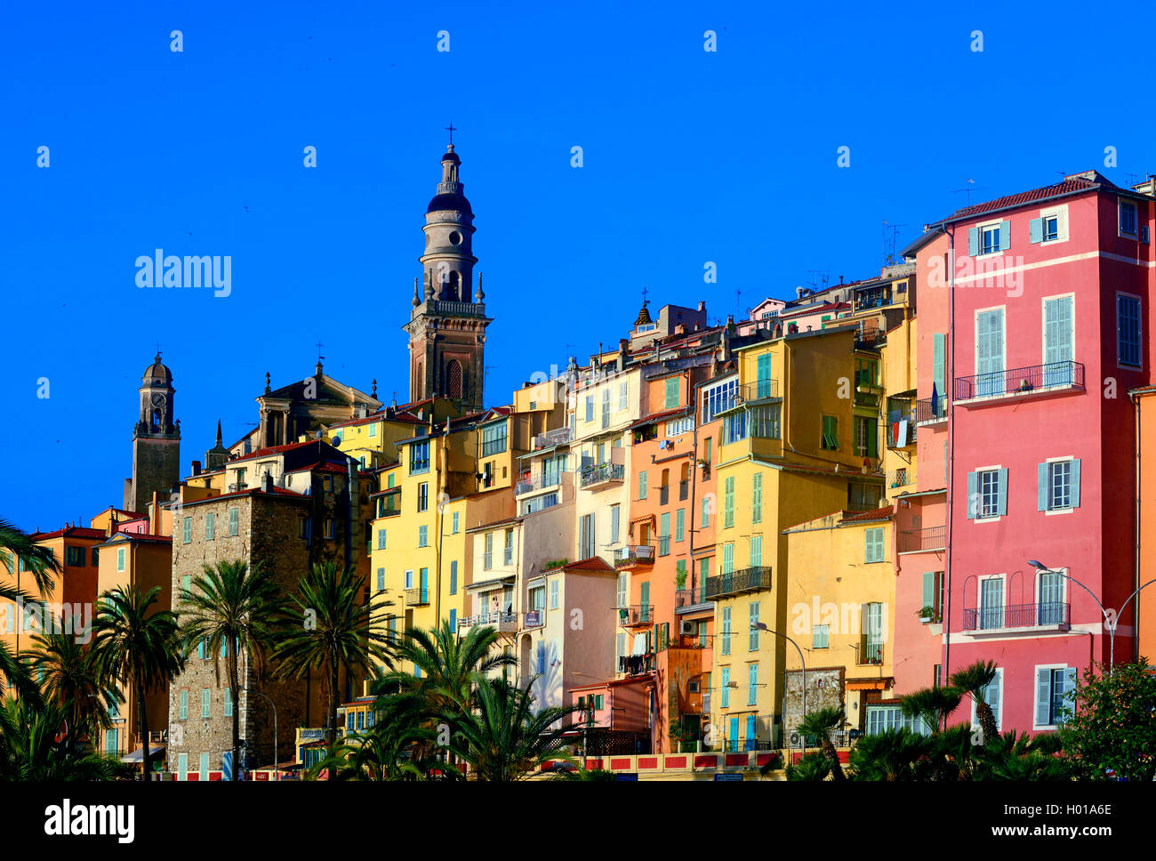 La vieille ville avec des maisons aux couleurs pastel et de la basilique Saint Michel, France, Alpes Maritimes, côtes D. Azur, Menton Banque D'Images