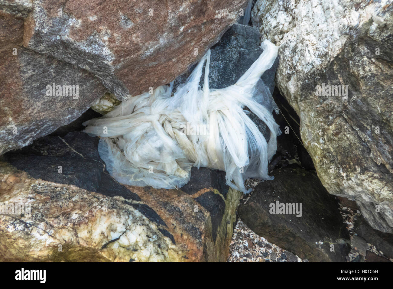 Les déchets en plastique sur la plage, de la Norvège, Troms Banque D'Images