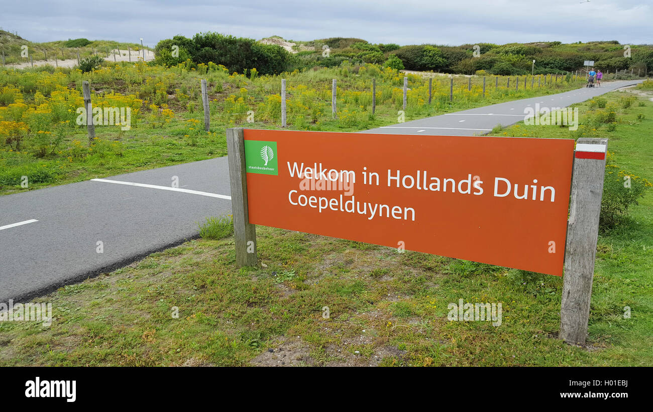 Info panneau au chemin à travers un paysage de dunes de la côte de la mer du Nord, Pays-Bas, Nordwijk, Coepelduynen Banque D'Images