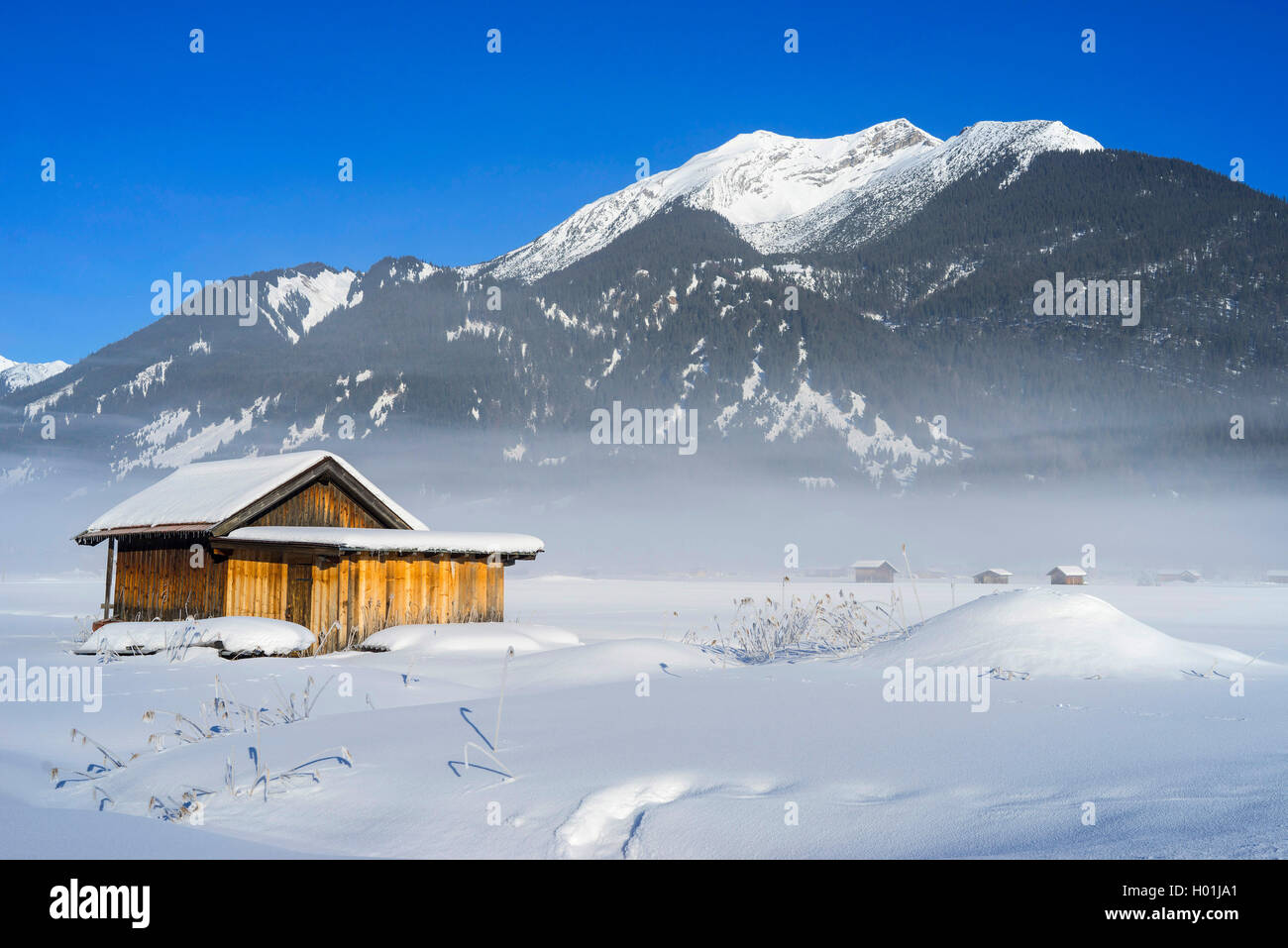 Misty ambiance avec vue sur le Daniel, vus de l'Ehrwalder Kessel, Autriche, Tyrol, Zugspitzgebiet Banque D'Images