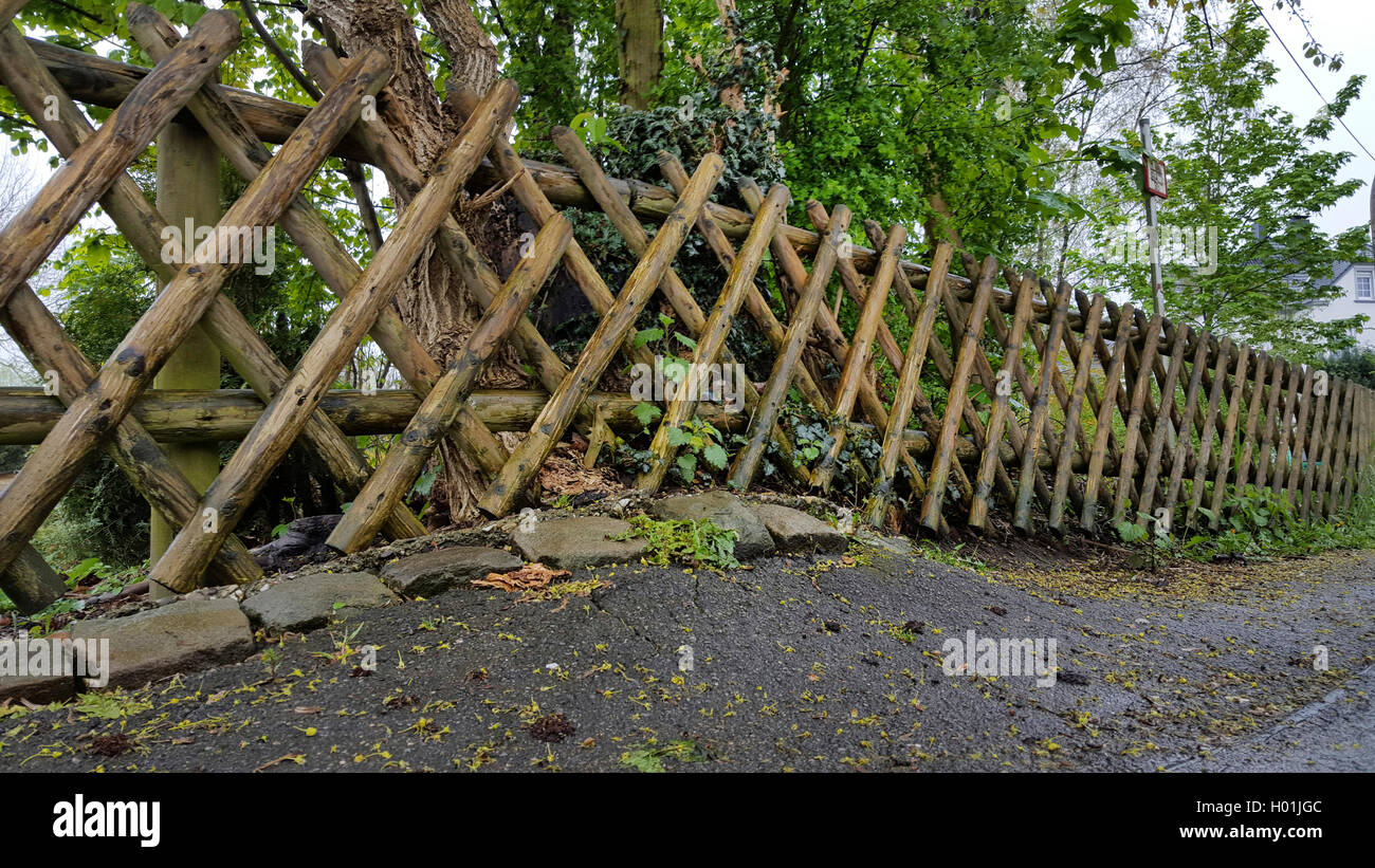 Jaegerzaun Asphaltschaeden Baumwurzeln und durch, Deutschland | clôture rustique et trottoir endommagé causés par les racines des arbres, Allemagne Banque D'Images