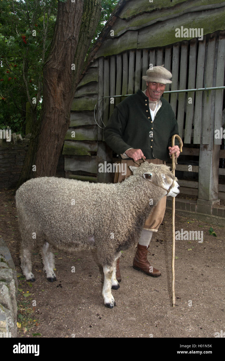 Le Warwickshire : SHAKESPEARE BIRTHPLACE TRUST : Henley-IN-ARDEN ; MARY ARDEN'S FARM TUDOR TUDOR' ; 'BERGER AVEC MOUTONS COTSWOLD Banque D'Images